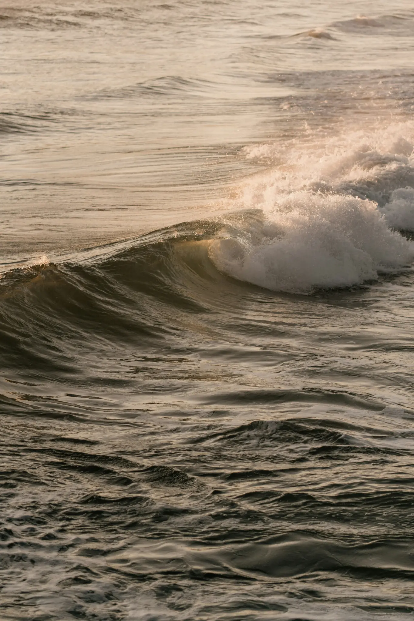 Ripresa ravvicinata delle onde dell'oceano durante l'ora d'oro, con un'onda che si infrange in schiuma bianca e riflette la