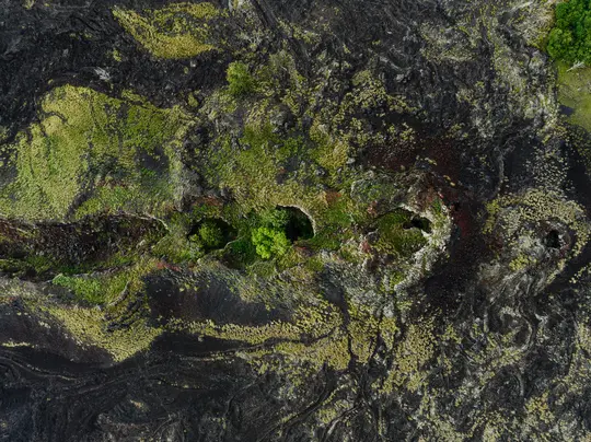 An aerial, top-down view of a rugged volcanic landscape. Dark grey and black lava flows are interspersed with patches of…