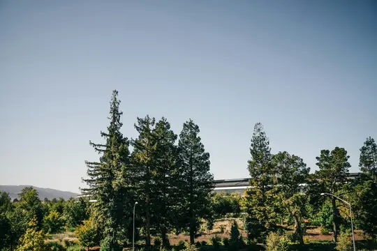 A wide landscape photo showing a line of tall green trees in the foreground, with a large, modern building partially…