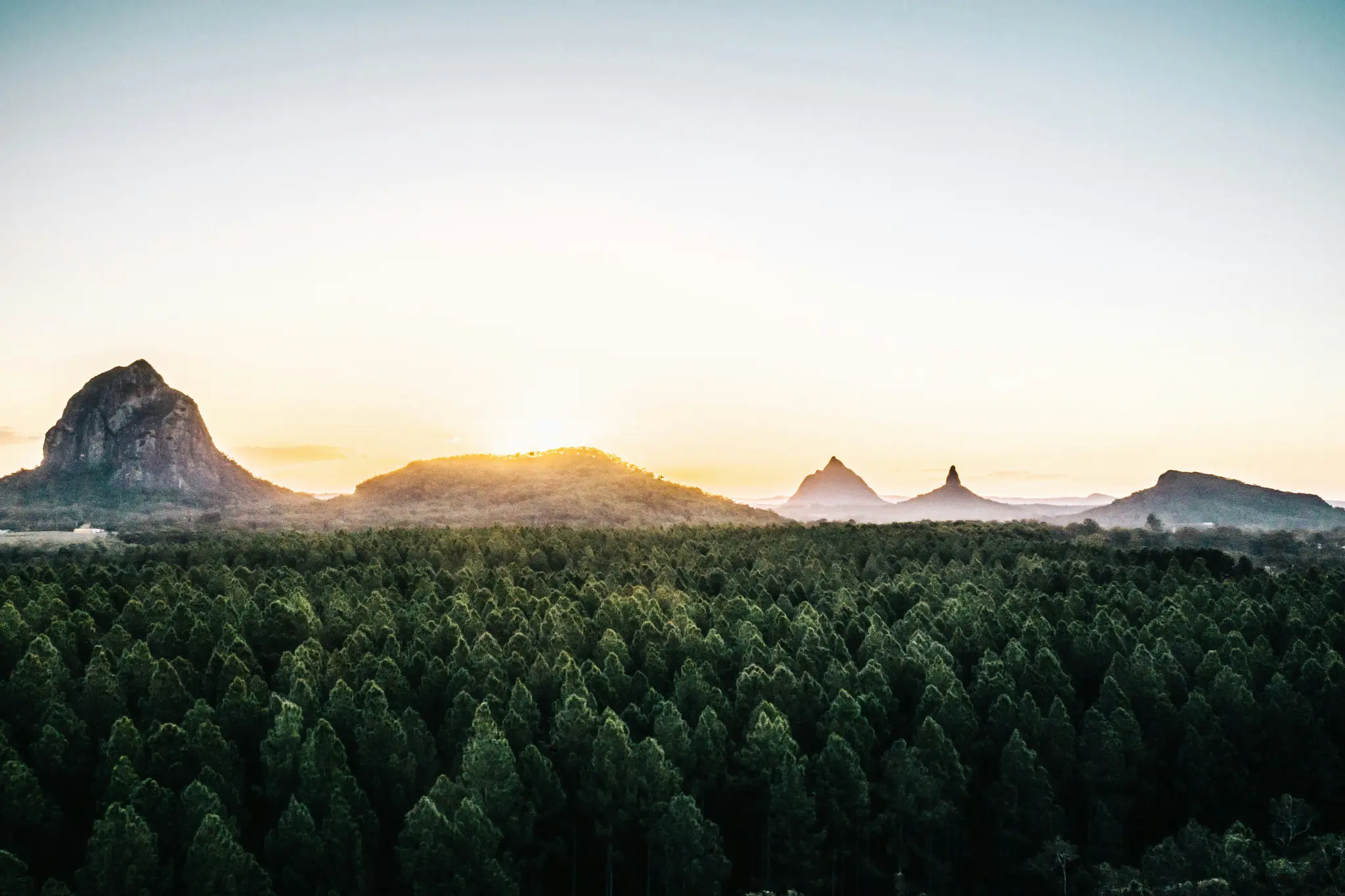 Široka pejzažna fotografija koja prikazuje gustu šumu zelenih stabala u prvom planu, s nekoliko planina na horizontu.