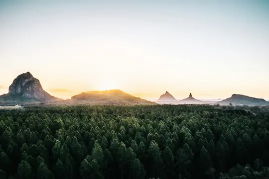 Breite Landschaftsaufnahme, die einen dichten Wald mit grünen Bäumen im Vordergrund und mehrere Berge am Horizont zeigt.