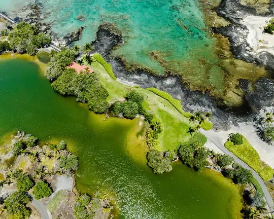 Una ripresa aerea cattura un lussureggiante paesaggio tropicale con un edificio dal tetto rosso, prati verdi e alberi tra il