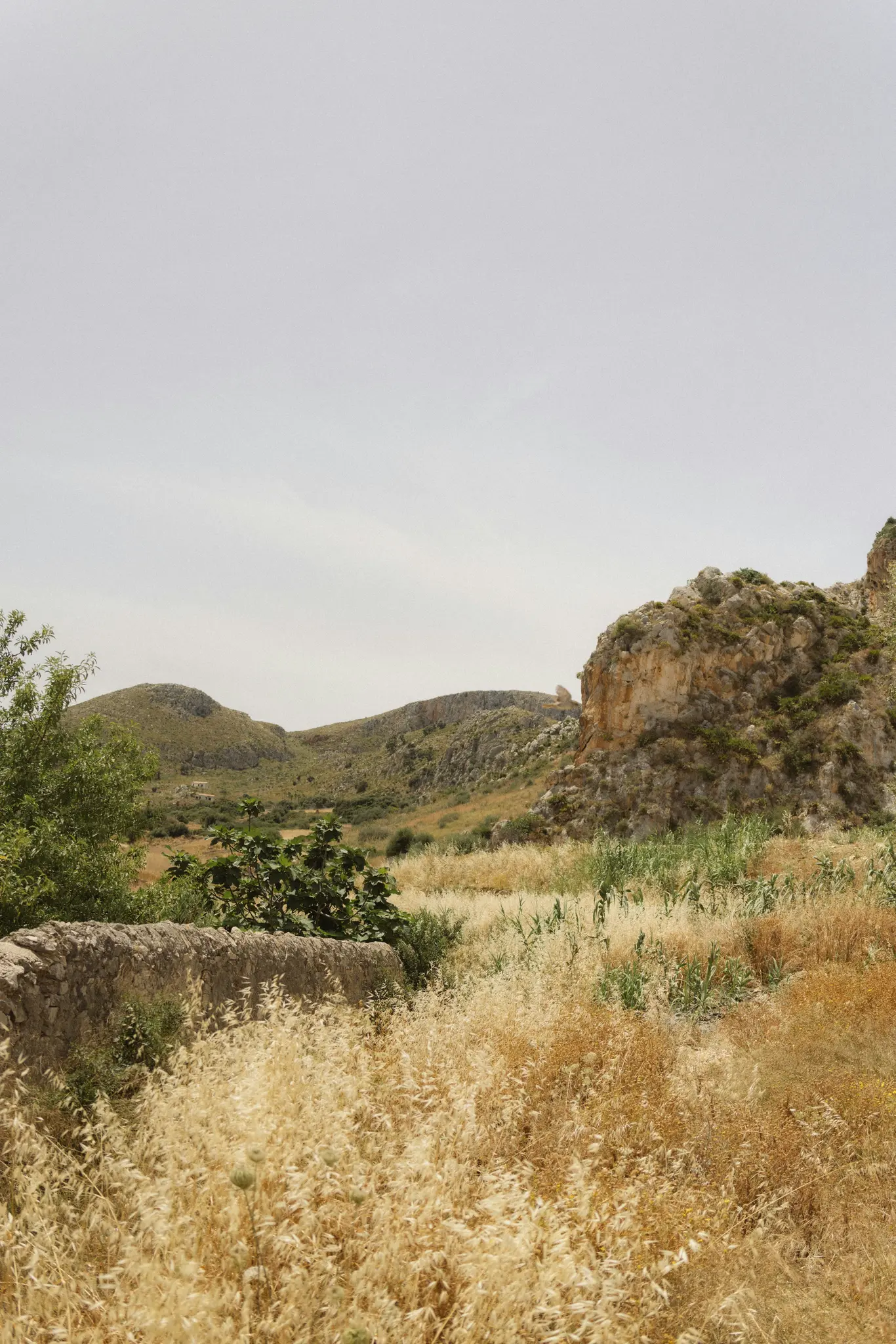 A wide landscape view of a valley under an overcast sky. The foreground is filled with dry golden grass and a low stone…