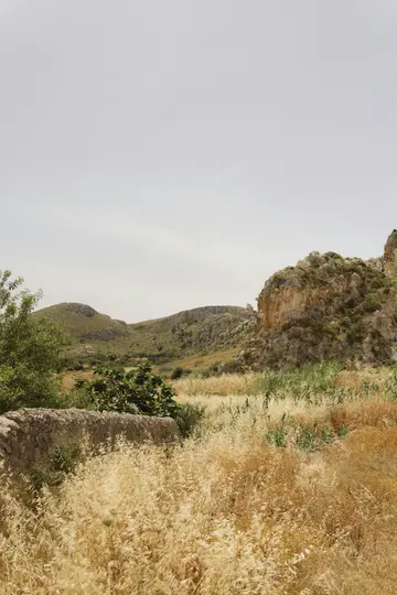 A wide landscape view of a valley under an overcast sky. The foreground is filled with dry golden grass and a low stone…
