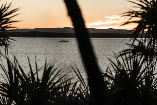 A sailboat floats on calm water under an orange and grey sunset sky, framed by dark, silhouetted palm-like leaves.