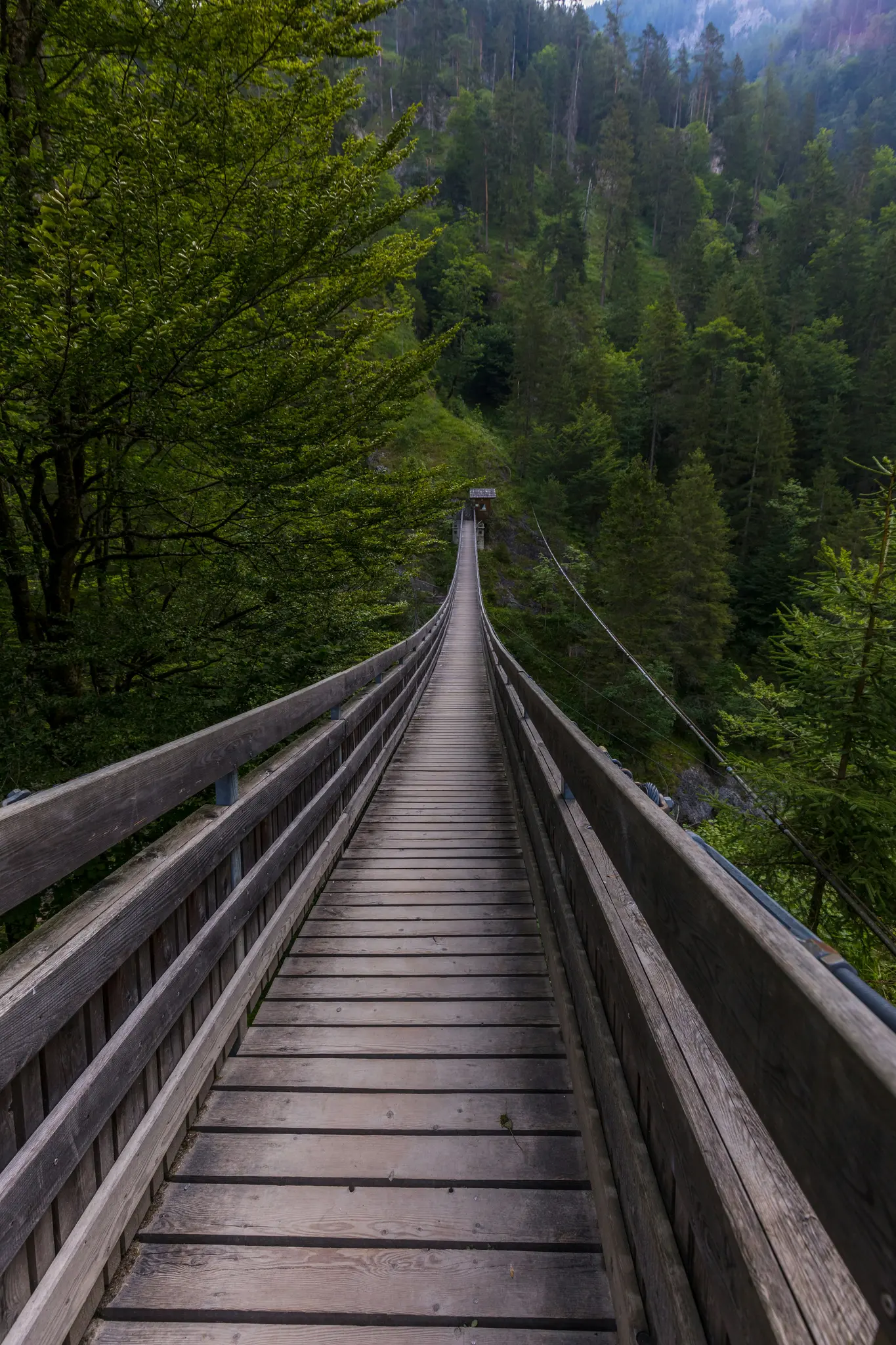 Eine lange hölzerne Hängebrücke erstreckt sich in die Ferne, umgeben von dichten grünen Bäumen an steilen Hängen unter…