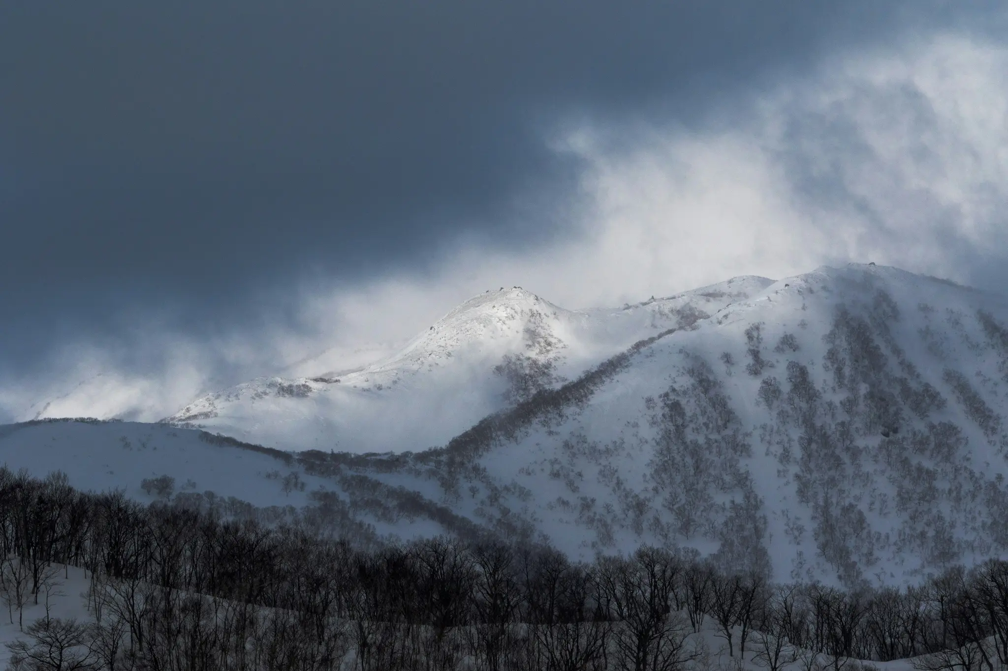Una amplia fotografía paisajística de una cordillera nevada. Árboles oscuros y desnudos llenan el primer plano, conduciendo a