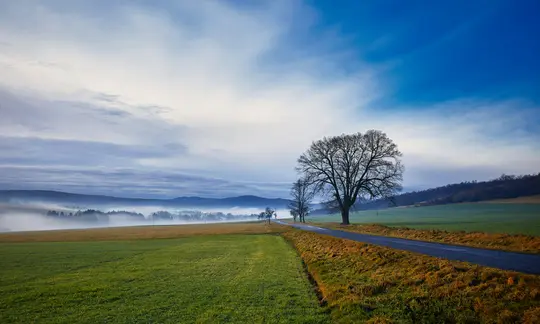 Et bredt landskabsfoto, der viser en brolagt vej, der snor sig gennem grønne og brune marker med nøgne træer langs den. I…