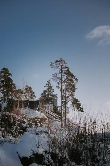 A modern house with a light wooden facade and dark roof sits on a snow-covered hill, surrounded by tall pine trees and bare…