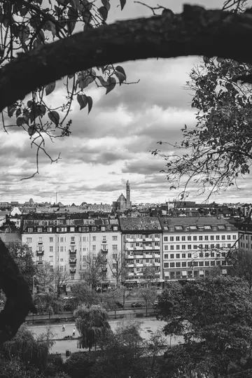 A black and white photo of a city, seen through dark tree branches. Buildings line a street, with a park below and a church…