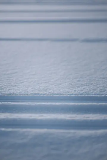 Et nærbillede, abstrakt visning af parallelle spor trykket ned i et felt af frisk, pudderagtig sne, der skaber et mønster af…