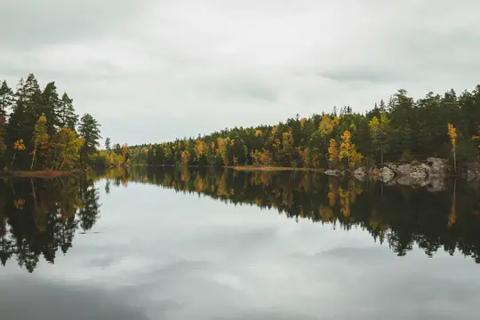 O fotografie peisagistică largă a unui lac liniștit care reflectă o linie de pădure cu copaci de toamnă verzi și galbeni sub