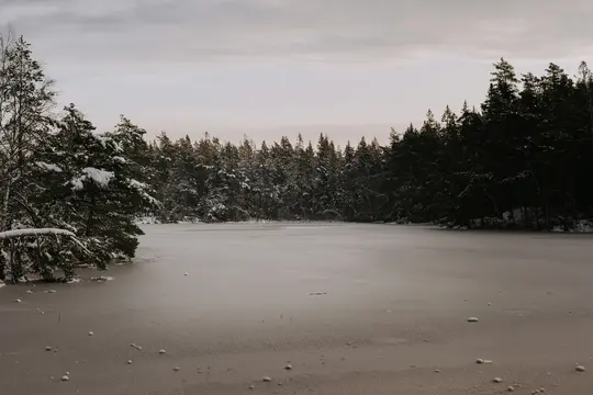 Vedere largă peisagistică a unui lac înghețat cu o pădure întunecată de conifere pe malul îndepărtat și copaci acoperiți de