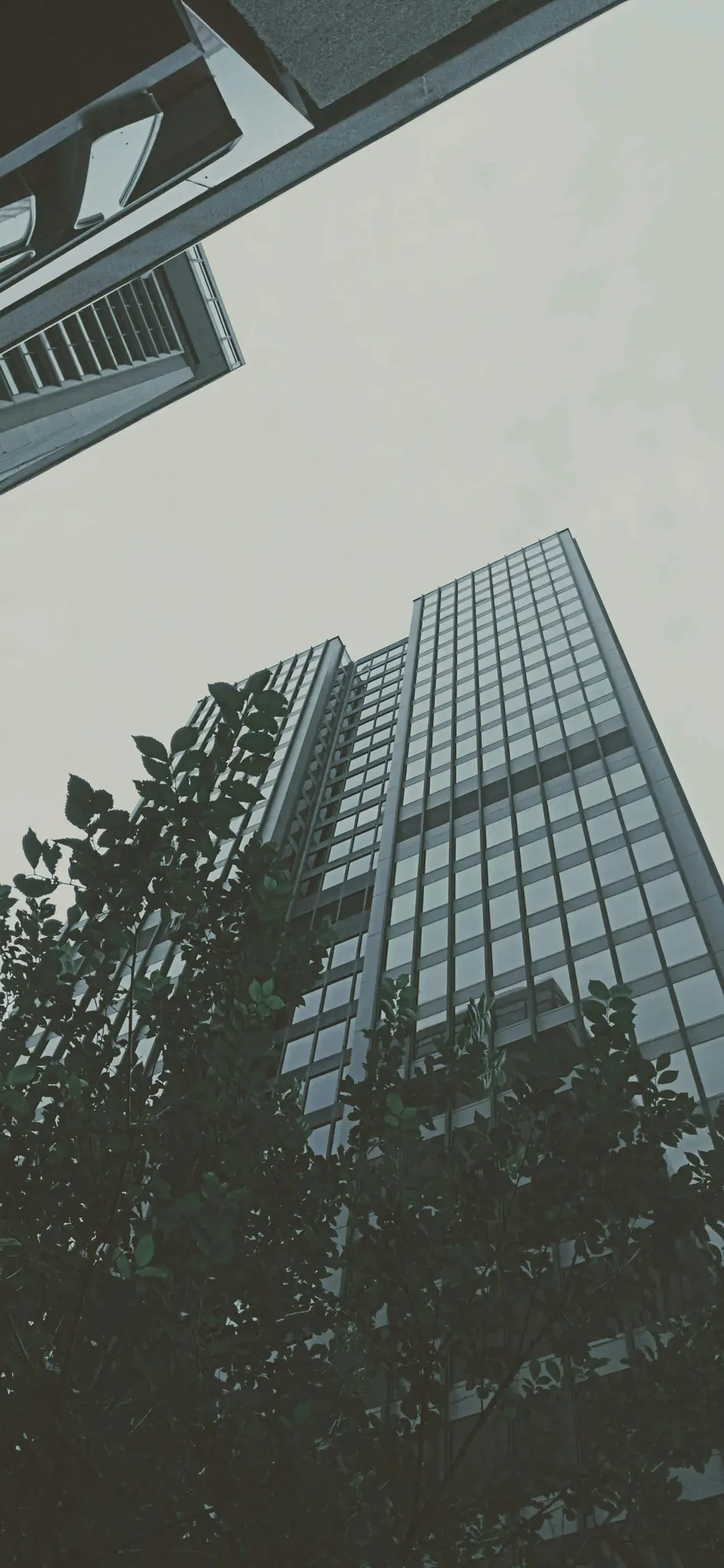Uno scatto verticale dal basso di un edificio moderno e alto con pannelli in vetro su uno sfondo di cielo coperto, con foglie