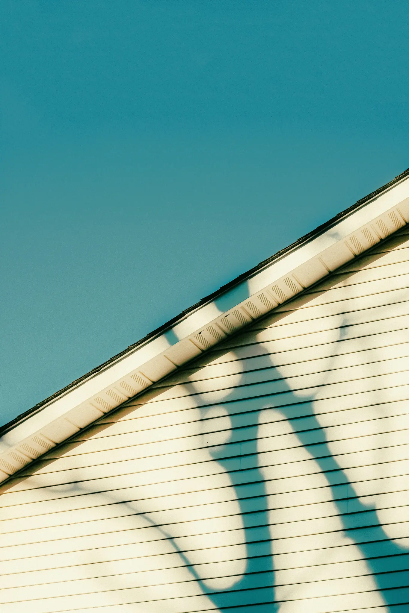A close-up, abstract photo of light beige vinyl siding on a house, with a clear blue sky above. Dark blue shadows of tree…