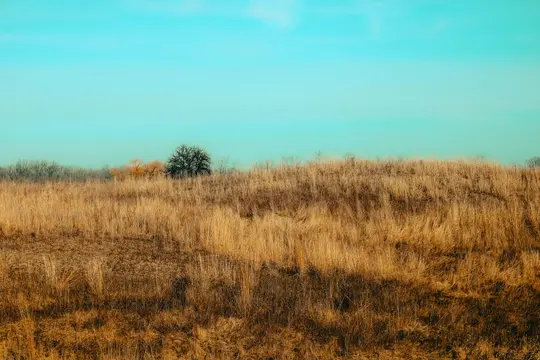 Una vista panorámica amplia de un campo cubierto de hierba seca de color dorado-marrón bajo un cielo azul brillante y