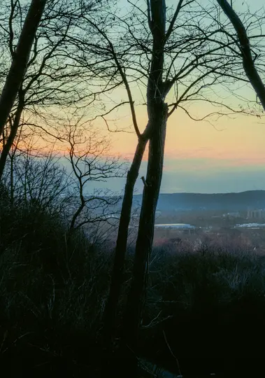 Et aftenskabslandskab set gennem de mørke silhuetter af nøgne træer og grene. Himlen viser en gradient fra lys...