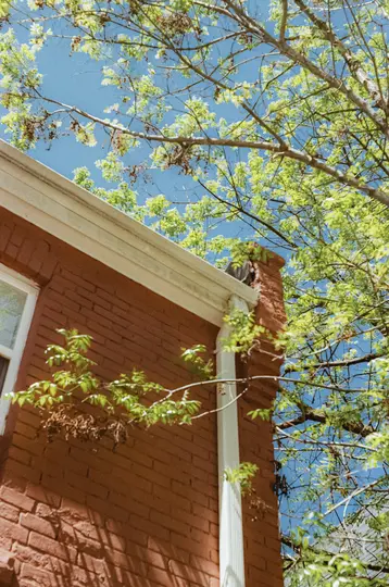 A low-angle shot of a red brick building with a white gutter and downspout, framed by bright green tree leaves against a…