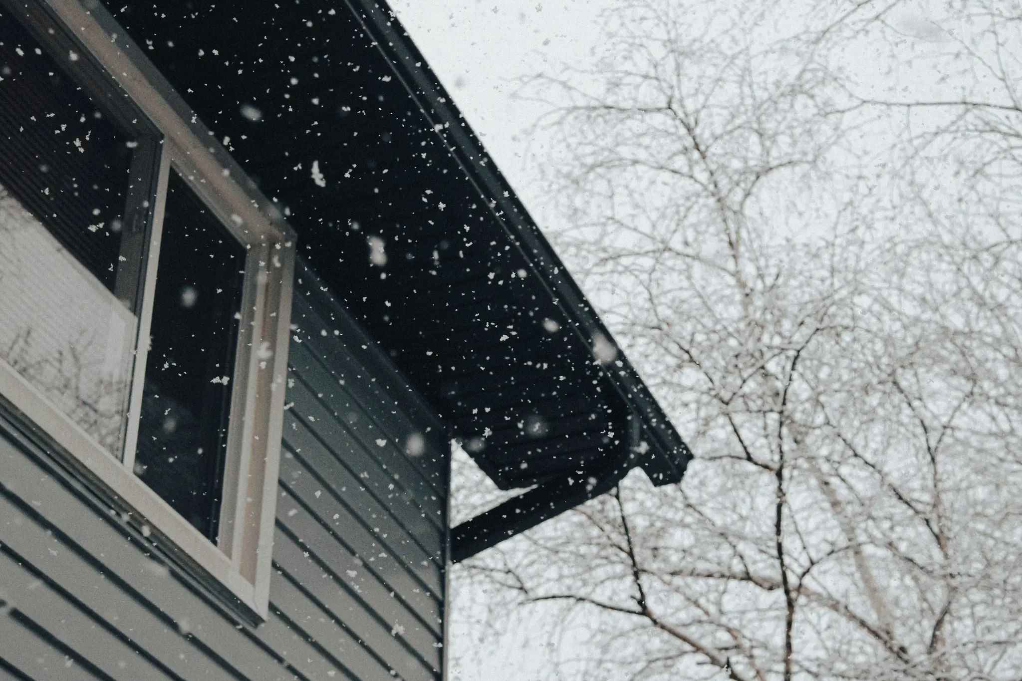 Un primo piano, scatto dal basso di una casa con rivestimento blu scuro e una finestra con cornice bianca, su cui cade la