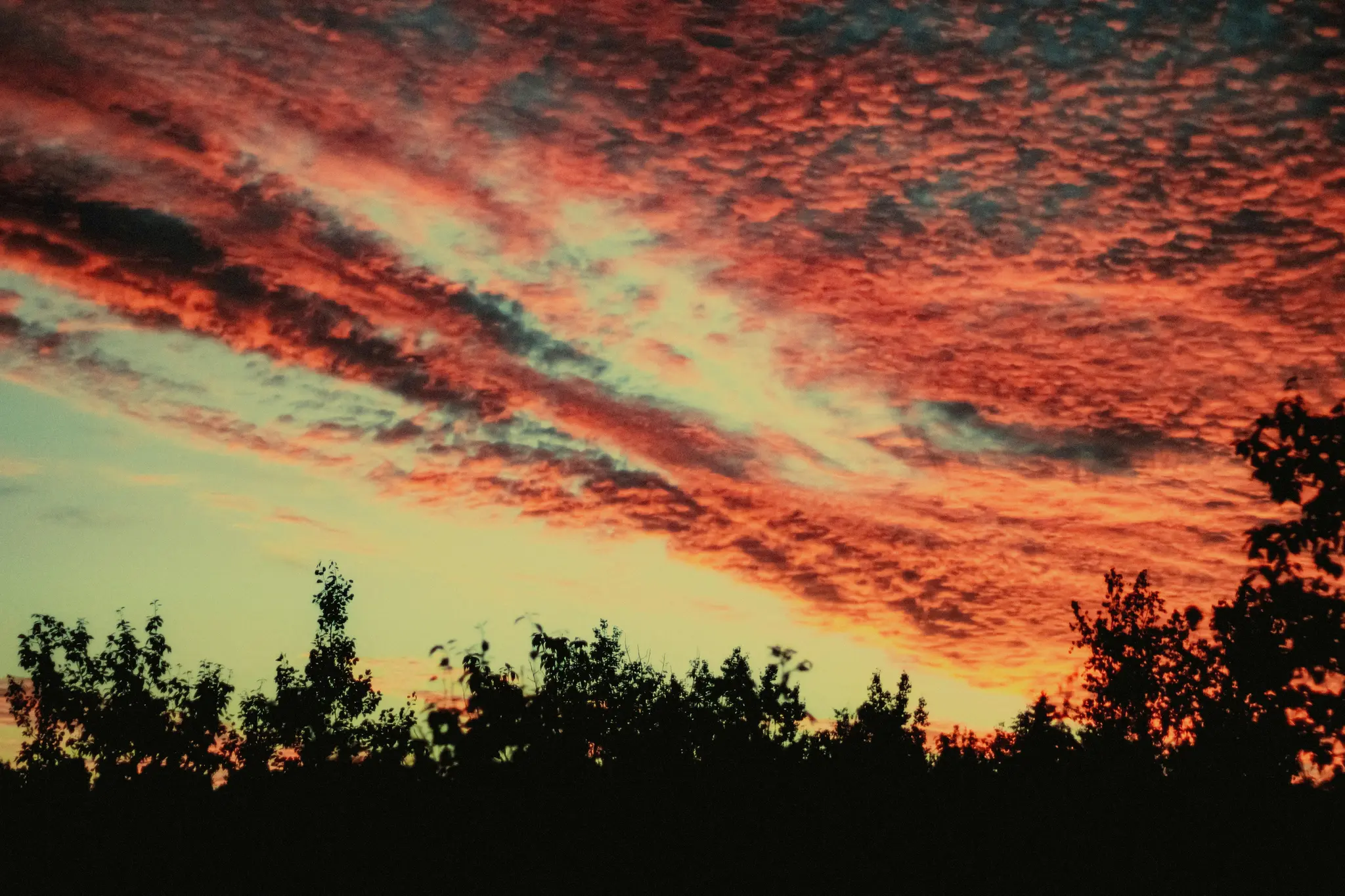 Un'ampia foto paesaggistica di un cielo al tramonto pieno di vivaci nuvole altocumulus rosse e arancioni, con una silhouette