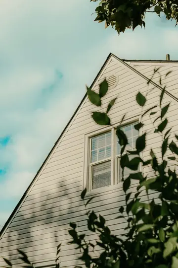 Et lavvinklet billede af et hvidt hus med et enkelt vindue, delvist indrammet af mørkegrønne blade mod en lyseblå himmel.