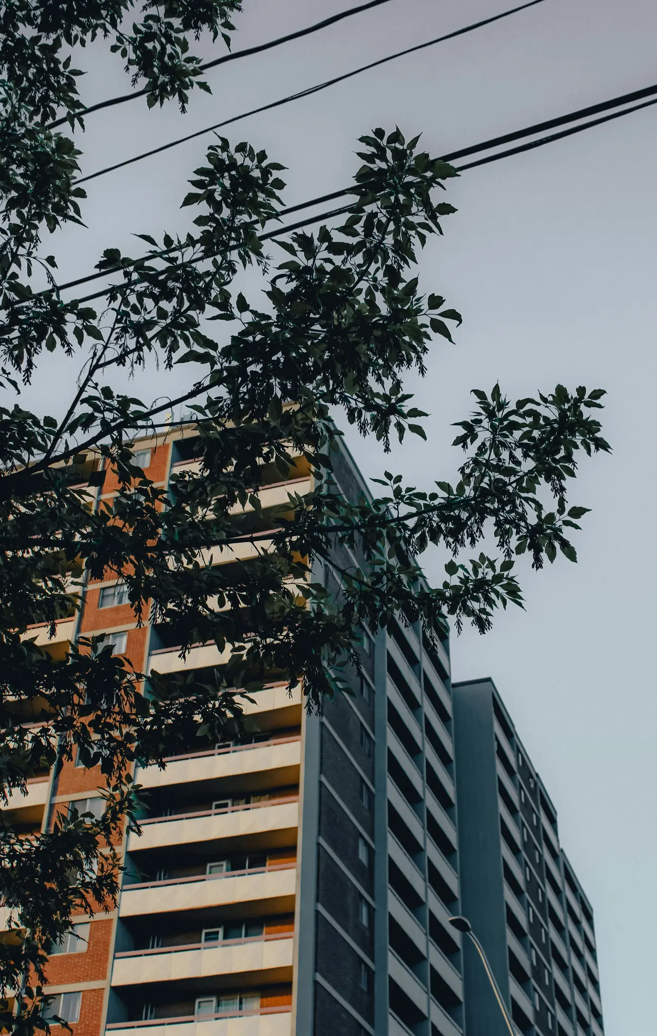 Vista dal basso di un alto edificio residenziale con mattoni arancioni e balconi beige, parzialmente nascosto da un albero
