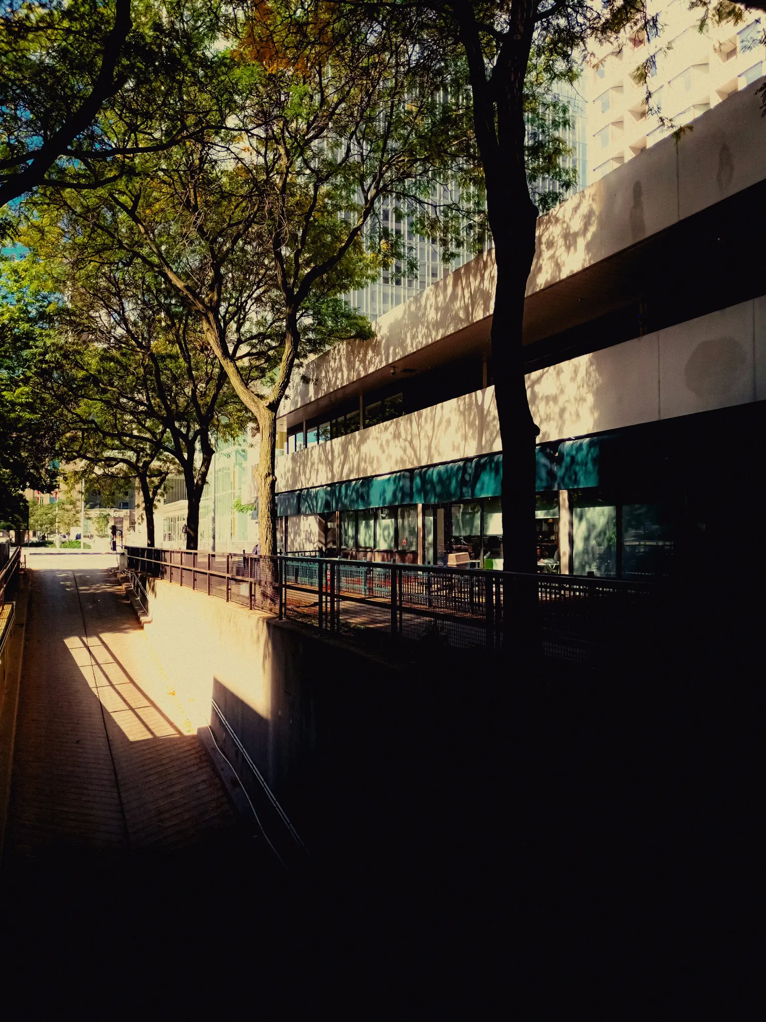 Ein sonnenbeschrittener Stadtpfad mit einer Betonmauer links und einem Gebäude mit Bäumen rechts. Starke Schatten bedecken…