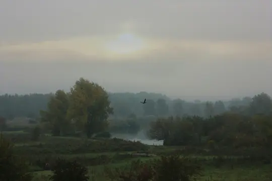 Et bredt landskabsbillede, der viser en diset efterårsscene med en flod, træer med gullende blade og en fugl, der flyver.