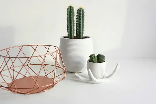 A minimalist still life featuring a geometric copper wire basket, a tall white pot with two cacti, and a small white pot…