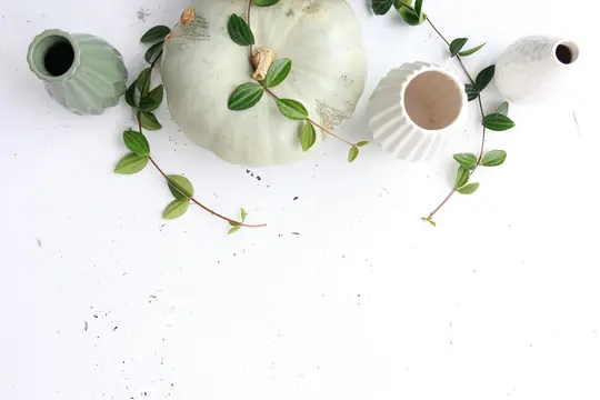 Et lysegrønt græskar, tre små vaser (en salviegrøn, to hvide) og grønne slyngplanter er arrangeret på en hvid overflade.