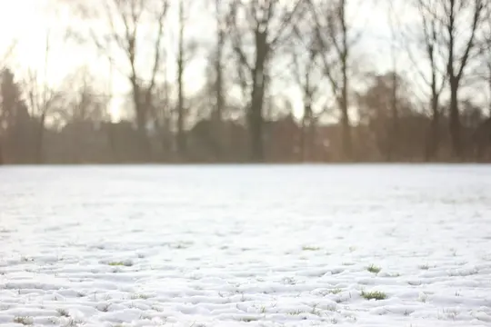 A wide shot of a field covered in a thin layer of snow, with patches of green grass visible. Bare trees are blurred in the…