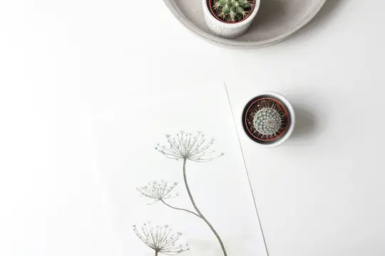 Et overhead fladt lag viser en hvid overflade med et botanisk print af sarte hvide blomster, to små potteplanter med