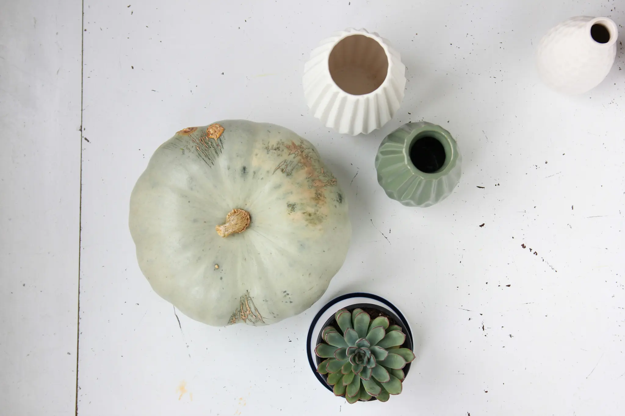 An overhead view of a large, light green pumpkin with a stem, three small ceramic vases (two white, one sage green), and a…