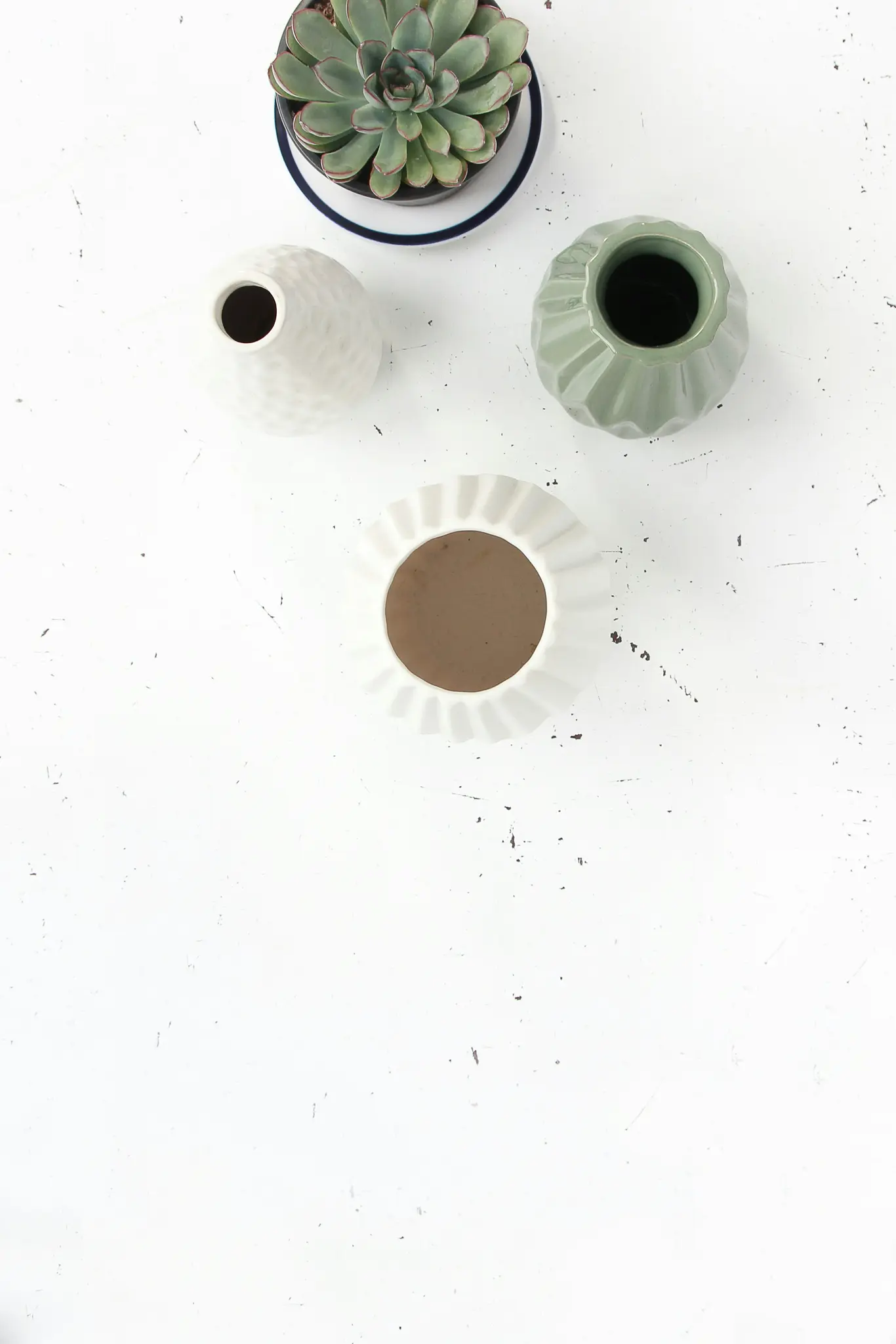 An overhead view of a green succulent plant in a dark pot with a blue rim, and three empty decorative vases. The vases are…