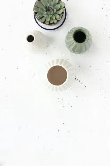 An overhead view of a green succulent plant in a dark pot with a blue rim, and three empty decorative vases. The vases are…