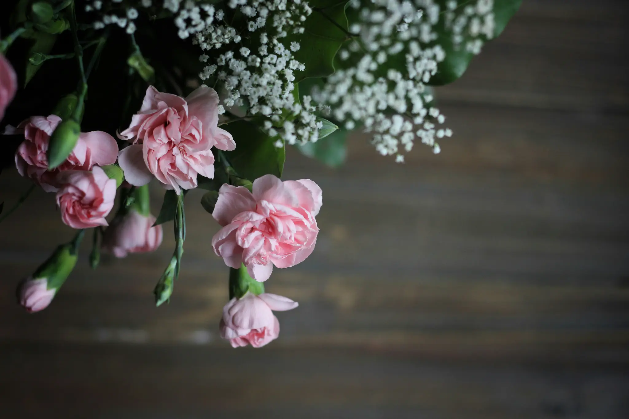 Et nærbillede af en buket med flere lyserøde nelliker og klynger af små hvide slørblomster.