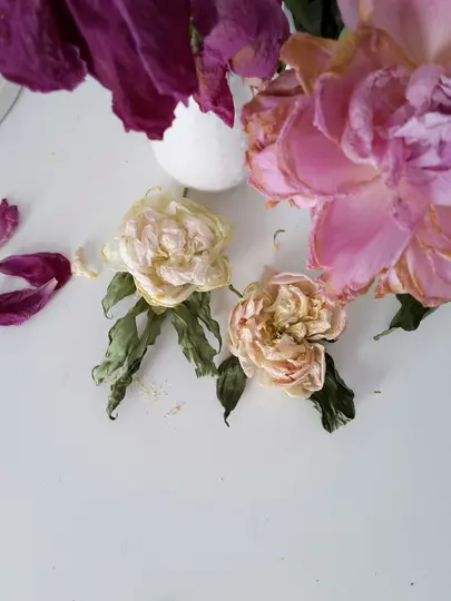 Nærbillede oppefra af visnende blomster på en hvid overflade. En stor lyserød pæon og en mørklilla blomst øverst, med...