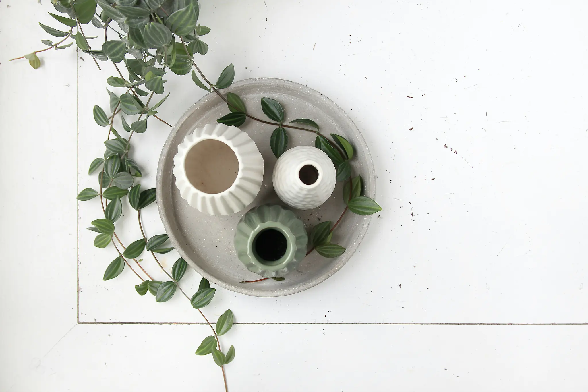 An overhead flat lay shows three small vases on a round grey tray, with green plant vines draped around them on a white…