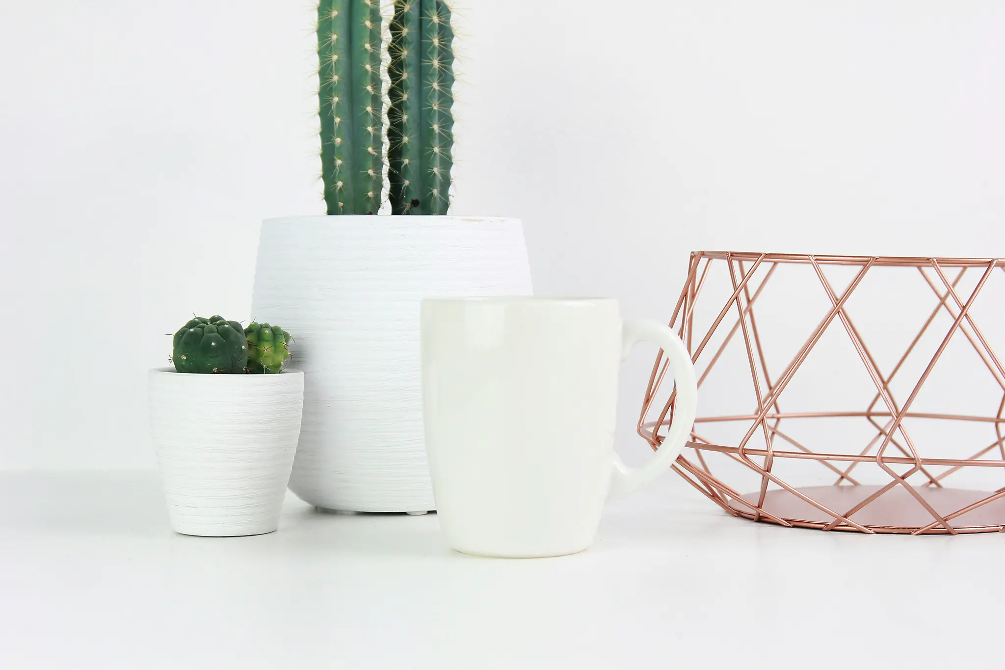 A minimalist still life featuring a tall cactus and a small cactus in white pots, a white mug, and a rose gold wire basket…