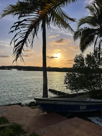 A vibrant sunset over calm water, with the sun low on the horizon. Silhouetted palm trees frame the scene, and a small blue…