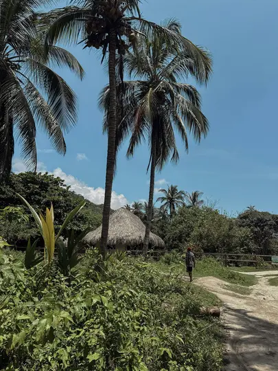 A person walks away on a dirt path towards a thatched-roof hut, surrounded by tall palm trees and dense green foliage.