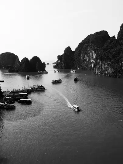An aerial black and white photo shows a bay with many boats on the water and large, dark, tree-covered karsts.