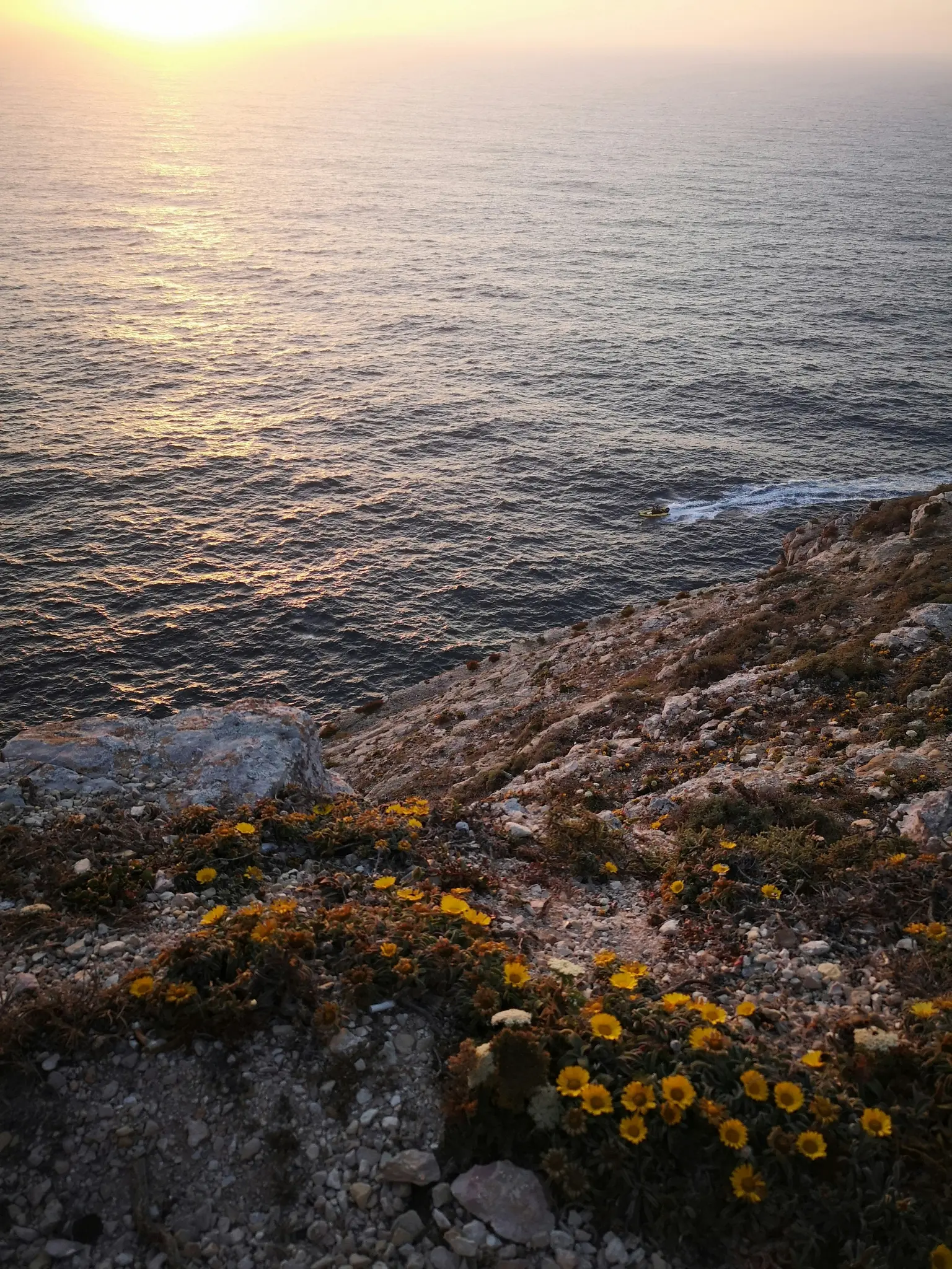 A high-angle view of a rocky cliffside covered in yellow flowers, overlooking the ocean during a golden sunset.