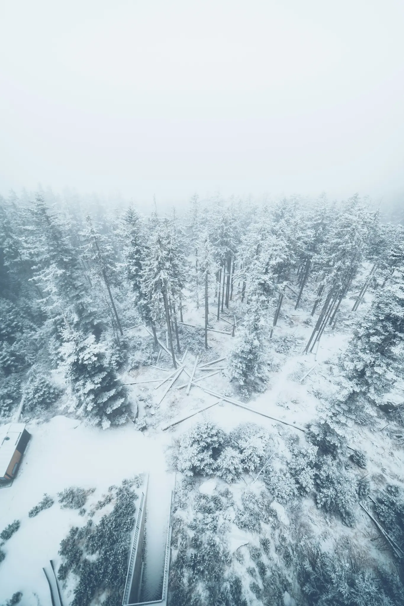 Eine Luftaufnahme eines riesigen, schneebedeckten Waldes unter einem bedeckten Himmel mit zahlreichen immergrünen Bäumen und