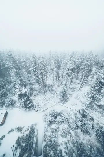 Eine Luftaufnahme eines riesigen, schneebedeckten Waldes unter einem bedeckten Himmel mit zahlreichen immergrünen Bäumen und
