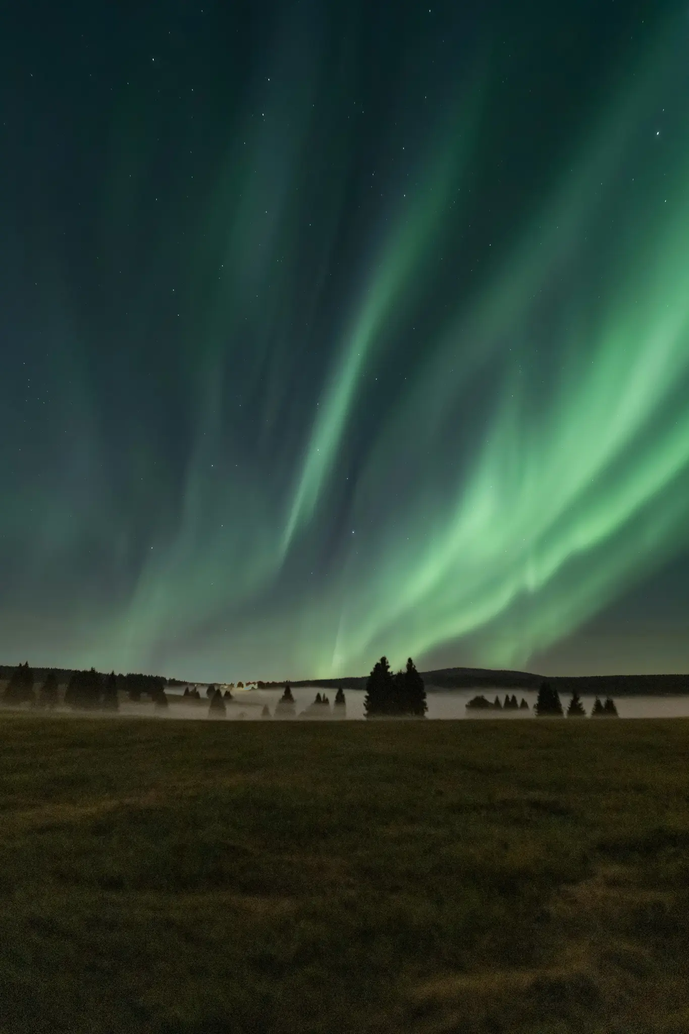Eine atemberaubende Nachtlandschaft mit hellgrünen Streifen der Aurora Borealis am dunklen Himmel über einem Feld und Bäumen.