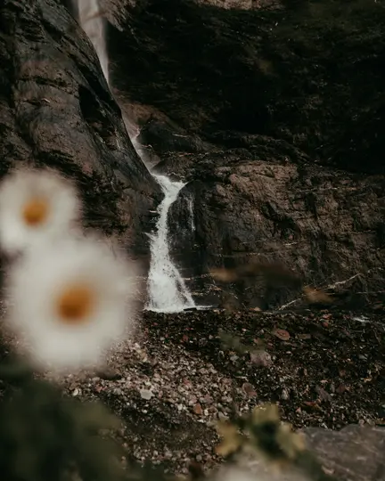 Ein Wasserfall fließt über eine dunkle, strukturierte Felswand in ein felsiges Bachbett. Zwei verschwommene weiße Blumen