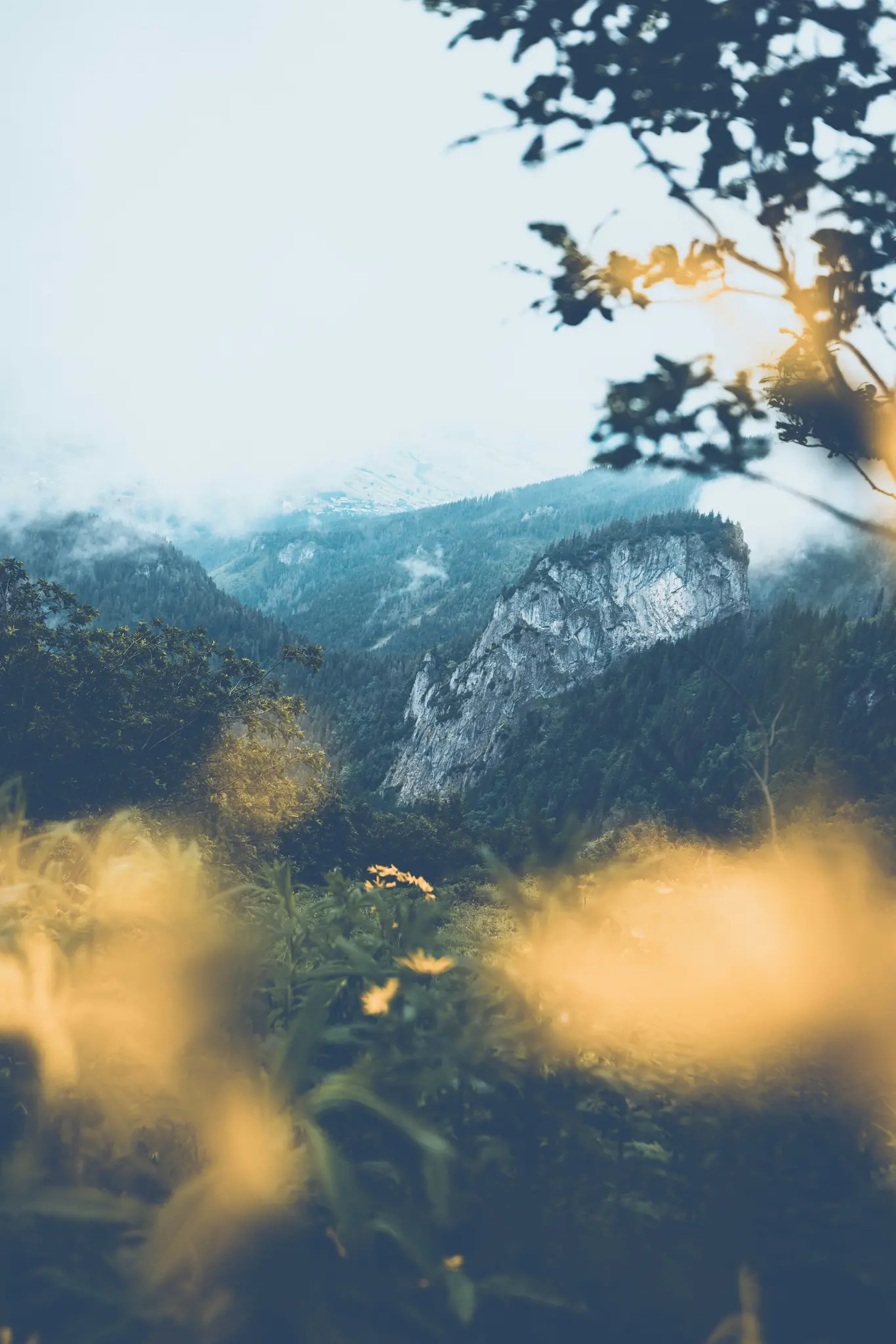 Eine ruhige Berglandschaft mit einem großen, grauen Felsvorsprung inmitten dichter grüner Wälder, teilweise vom Nebel