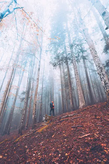 Ein einsamer Wanderer in orangefarbener Jacke und mit Rucksack steht auf einem Felsen in einem nebligen Wald und blickt zu