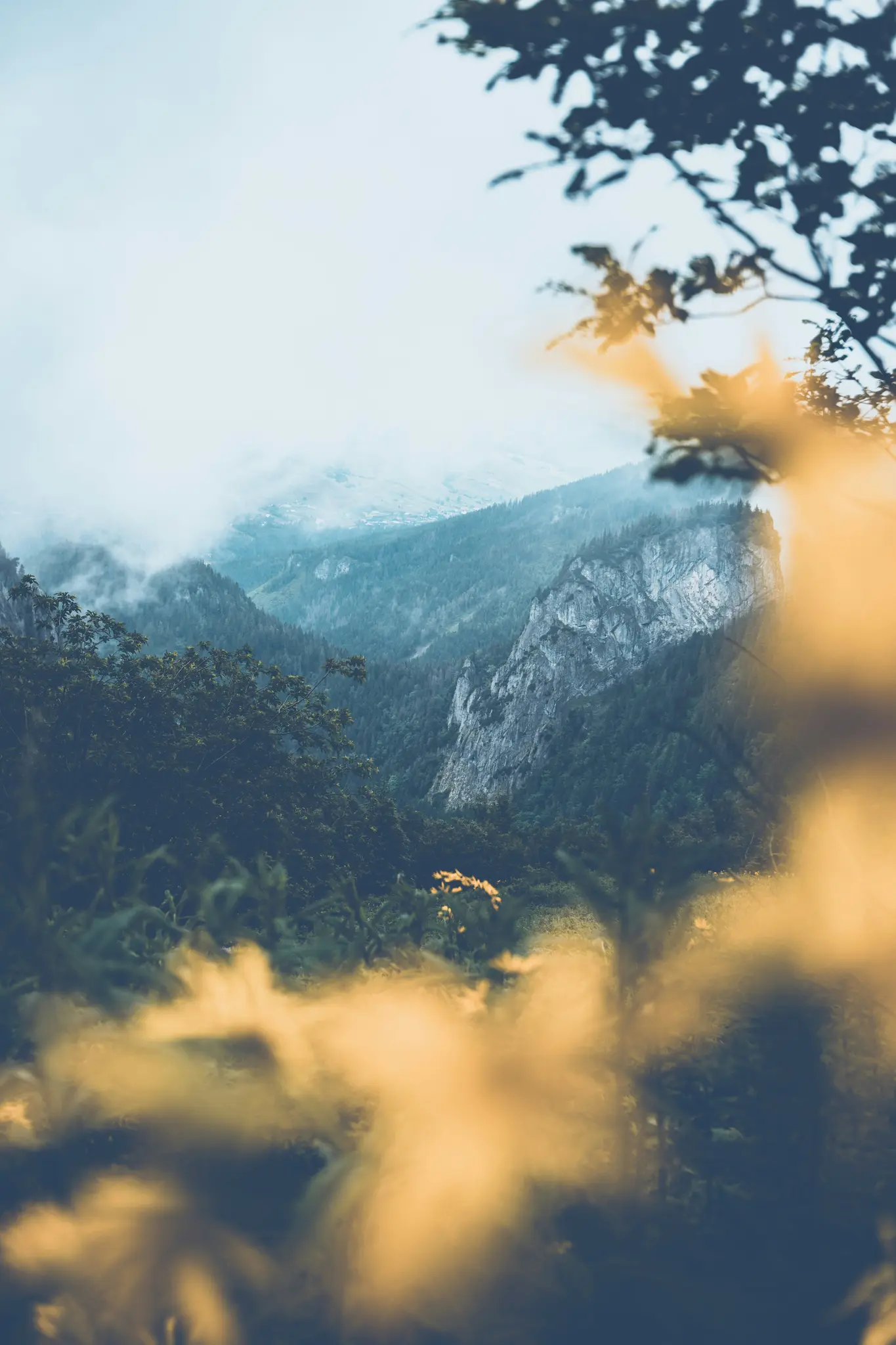 Ein ruhiger Blick auf ein nebelverhangenes Bergtal mit dunkelgrünen Wäldern und grauen Felsklippen. Unscharfes gelbes und…